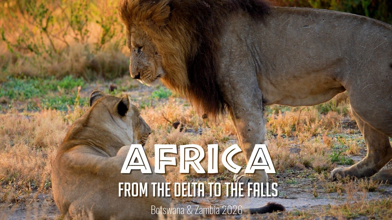 Reisefilm Afrika, Okavango-Delta bis Victoriafälle